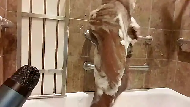 Maculine Stayr online show from October 18, 3:00 am