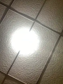 Jorge12sjjsjs online show from February 25, 10:16 am