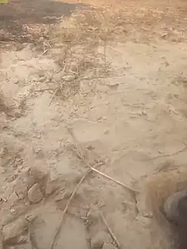 FinableKnee online show from December 14, 10:00 am