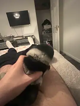 Snapshot of Furdale chatting on January 31, 6:14 pm Furdale online show from January 31, 6:14 pm