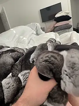 Furdale online show from November 2, 1:04 pm