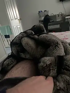 Snapshot of Furdale chatting on February 20, 3:41 pm Furdale online show from February 20, 3:41 pm