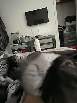 Snapshot of Furdale chatting on September 18, 4:31 pm Furdale online show from September 18, 4:31 pm