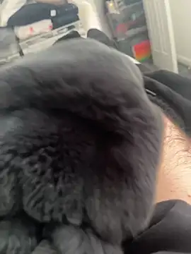 Snapshot of Furdale chatting on March 14, 11:12 am Furdale online show from March 14, 11:12 am