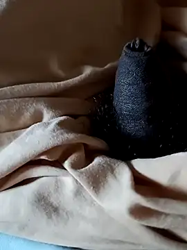 malluflash online show from January 15, 9:02 am