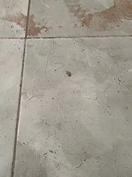 Snapshot of Poyraz6996 chatting on February 5, 2:59 pm Poyraz6996 online show from February 5, 2:59 pm