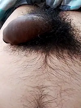 rodovlaz online show from November 27, 12:42 pm