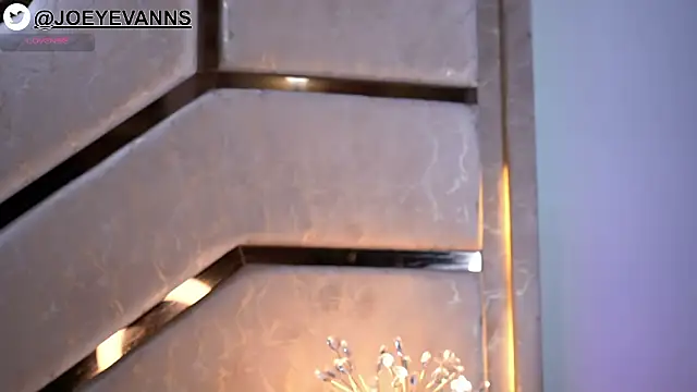 JOEYEVANS online show from March 9, 3:11 am