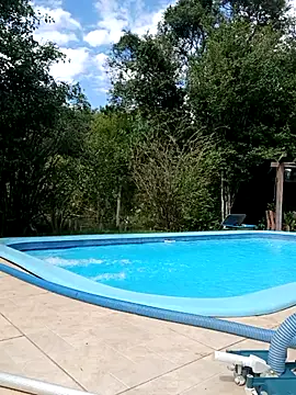 dutra498 online show from April 6, 4:08 pm