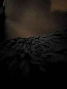 Sissy Tim online show from January 1, 8:35 am