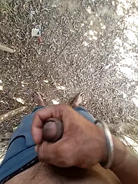 breejs online show from November 23, 8:25 am