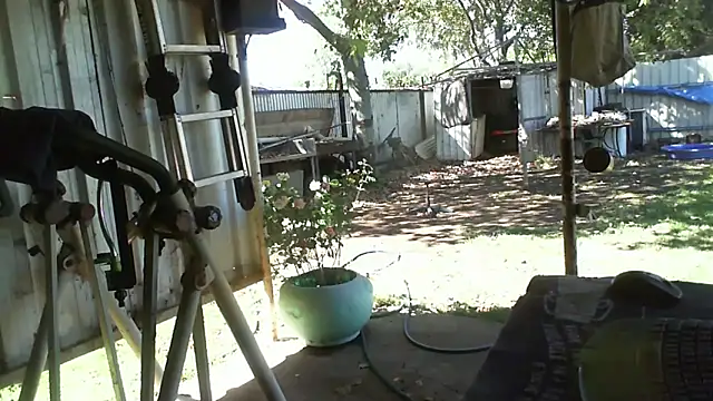 herbie010666 online show from October 19, 5:01 am