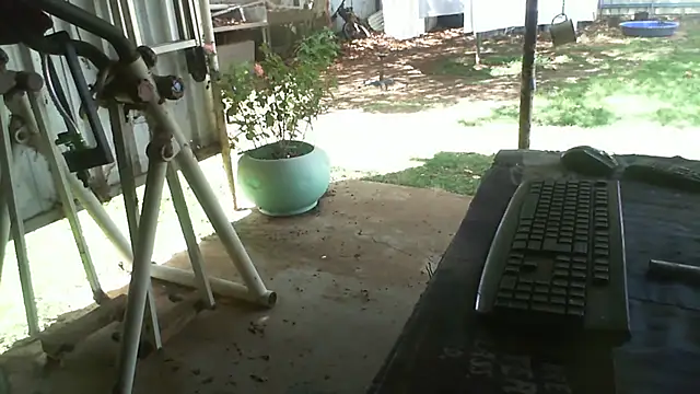 herbie010666 online show from November 29, 4:47 am