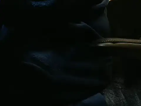 suedel65 online show from January 16, 5:00 am