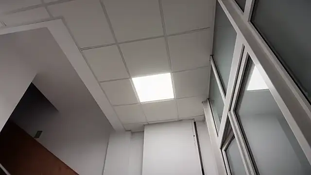 TigerOne19 online show from November 10, 7:19 pm