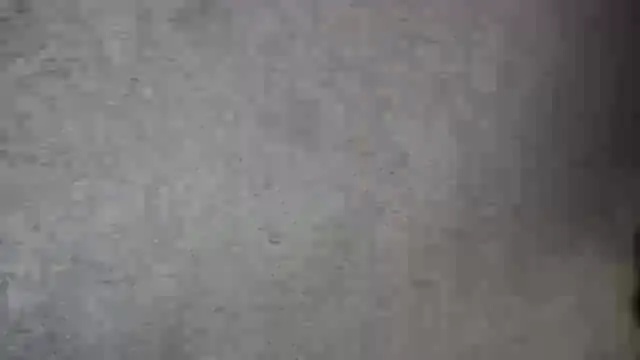 TigerOne19 online show from November 1, 10:52 am