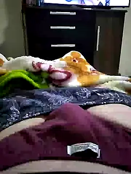 shiiank online show from July 4, 4:48 am