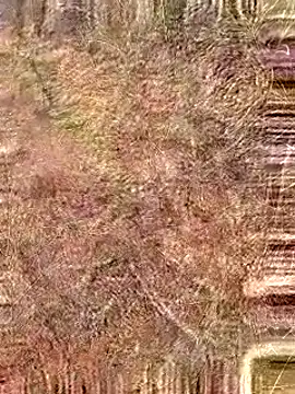 Snapshot of Gopal1243 chatting on October 19, 4:50 am Gopal1243 online show from October 19, 4:50 am