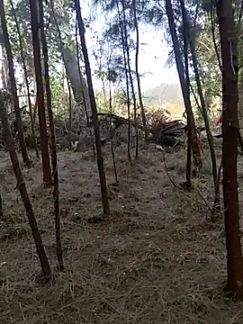 Snapshot of Gopal1243 chatting on February 26, 2:15 am Gopal1243 online show from February 26, 2:15 am