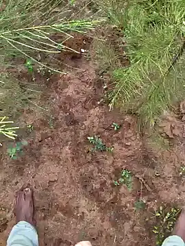 Snapshot of Gopal1243 chatting on December 9, 3:29 am Gopal1243 online show from December 9, 3:29 am