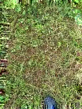 Snapshot of Gopal1243 chatting on October 9, 2:05 am Gopal1243 online show from October 9, 2:05 am