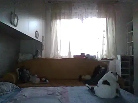 Setesesso7 online show from May 29, 3:38 am
