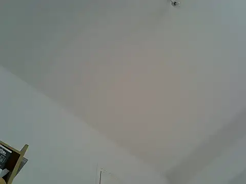 celibe du 25 online show from April 18, 8:16 am