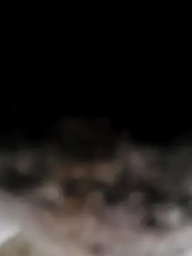 rem4001xh online show from February 21, 5:09 pm