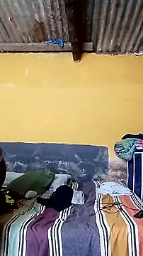 LULE37587001 online show from March 12, 6:54 am