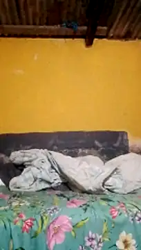 LULE37587001 online show from March 7, 7:44 pm