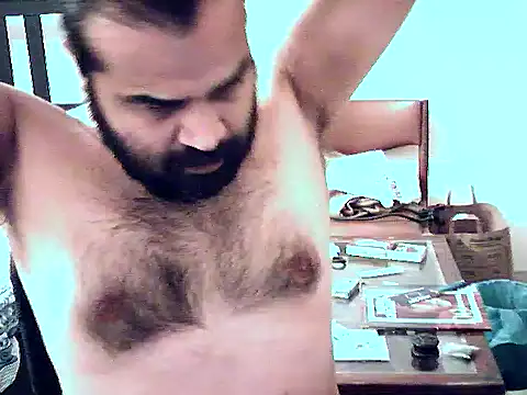 aksxi1 online show from November 3, 12:15 am