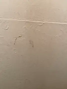 DreamerAsianGuy online show from January 19, 3:50 am