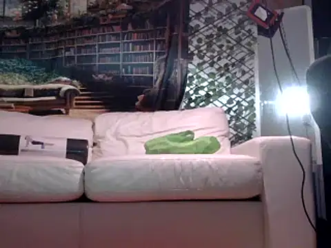 Snapshot of OSIRlS chatting on February 19, 1:17 pm OSIRlS online show from February 19, 1:17 pm