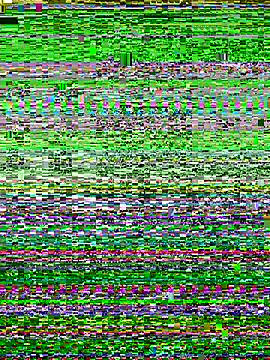 sunny27 online show from November 8, 11:13 am