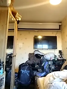 Erimyka online show from March 2, 3:08 pm