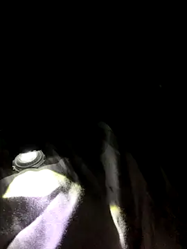 bertram59 online show from November 24, 6:03 am