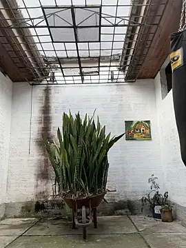 oliver price1 online show from September 28, 9:02 pm